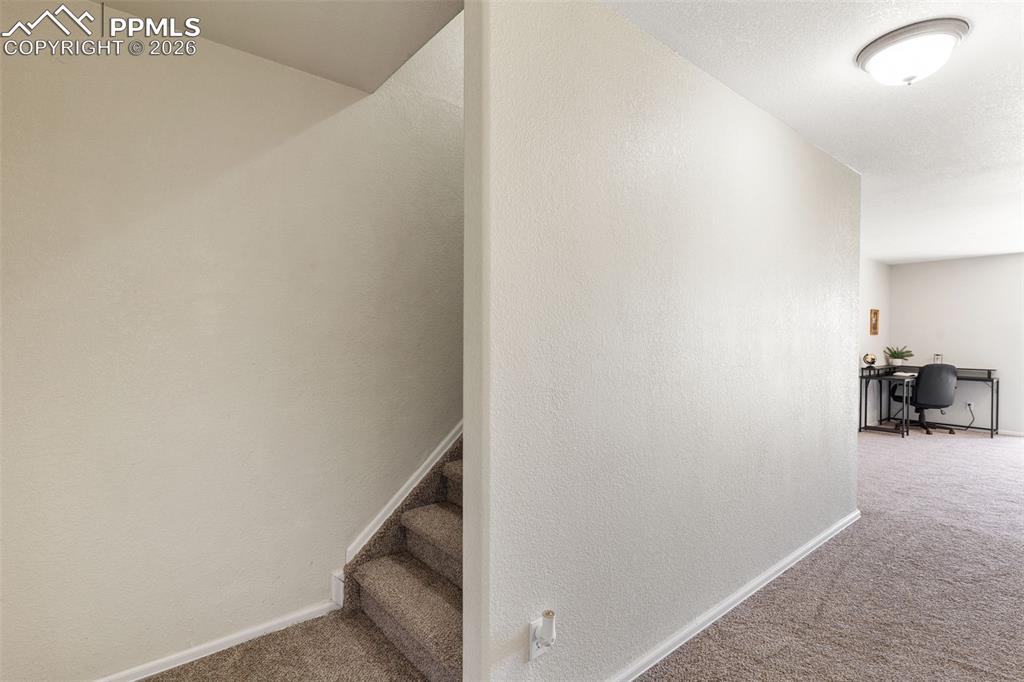 3523 Indigo Ridge Point Colorado Springs CO 80910