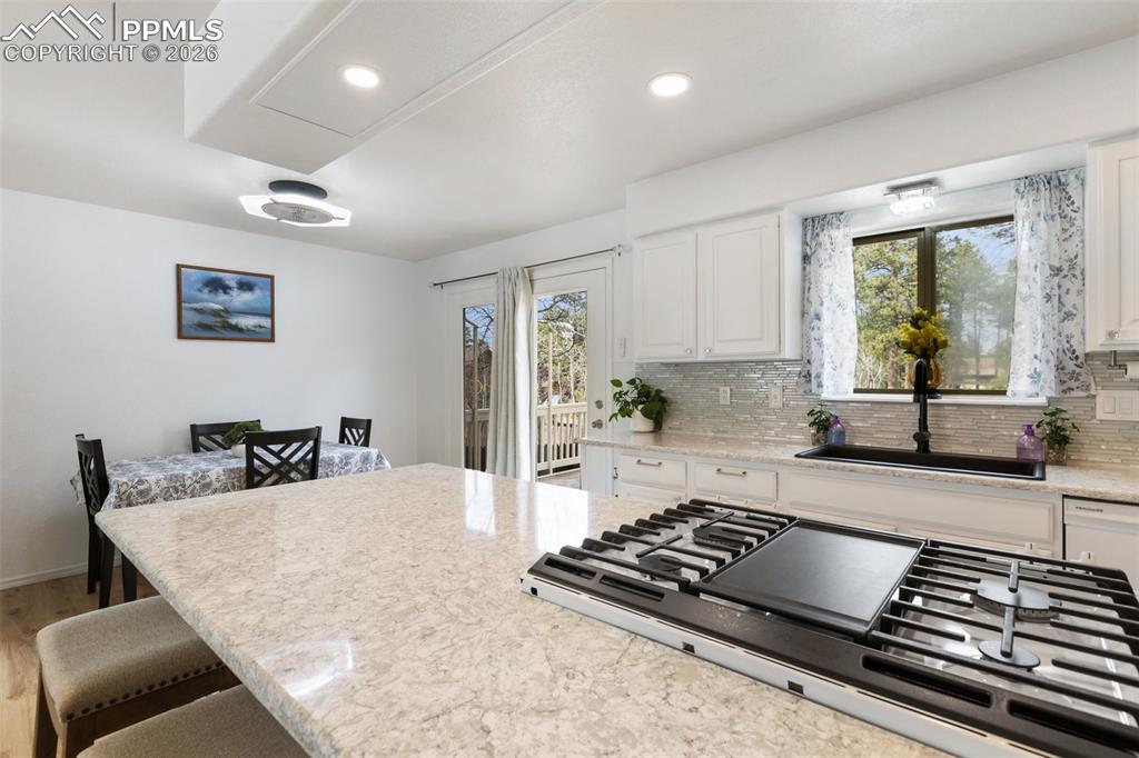 742 Westwood Trace Woodland Park CO 80863