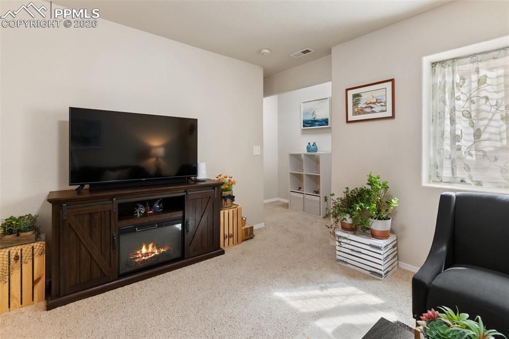 742 Westwood Trace Woodland Park CO 80863