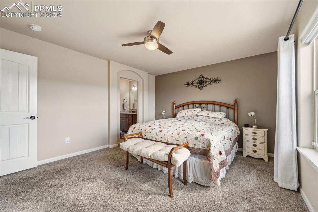 11383 Rill Point Colorado Springs CO 80921