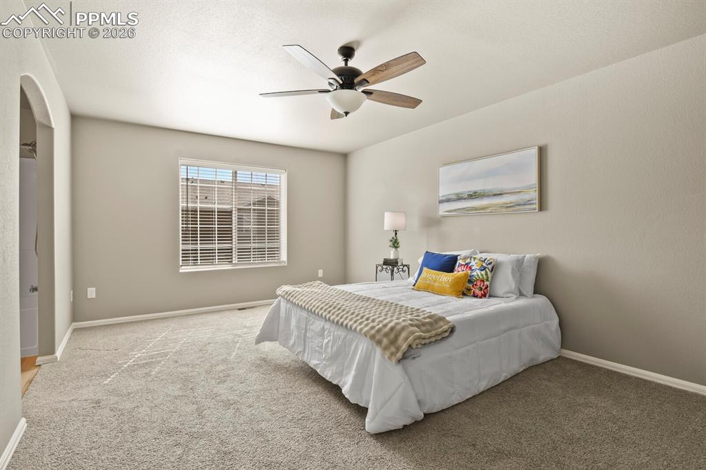7623 Jack Pine Grove Colorado Springs CO 80908