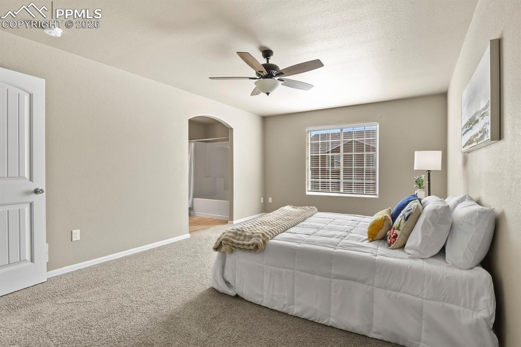 7623 Jack Pine Grove Colorado Springs CO 80908