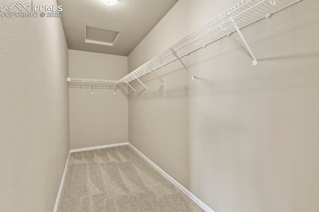 7623 Jack Pine Grove Colorado Springs CO 80908
