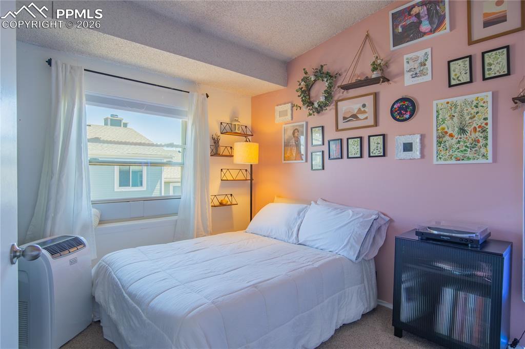 3915 Smoke Tree Drive Colorado Springs CO 80920