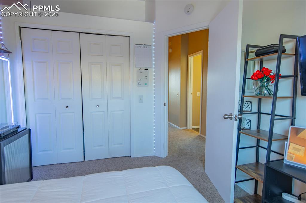 3915 Smoke Tree Drive Colorado Springs CO 80920