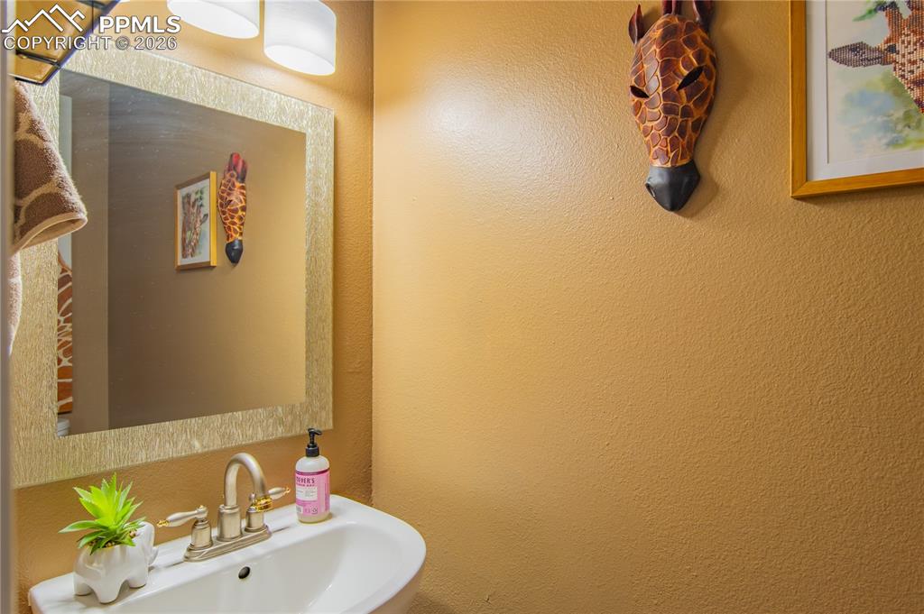3915 Smoke Tree Drive Colorado Springs CO 80920