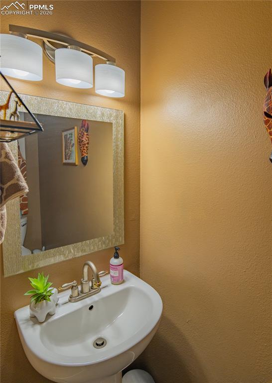 3915 Smoke Tree Drive Colorado Springs CO 80920