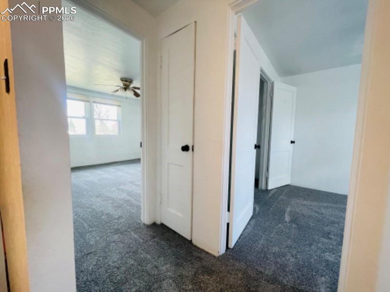 2443 Paseo Road Colorado Springs CO 80907