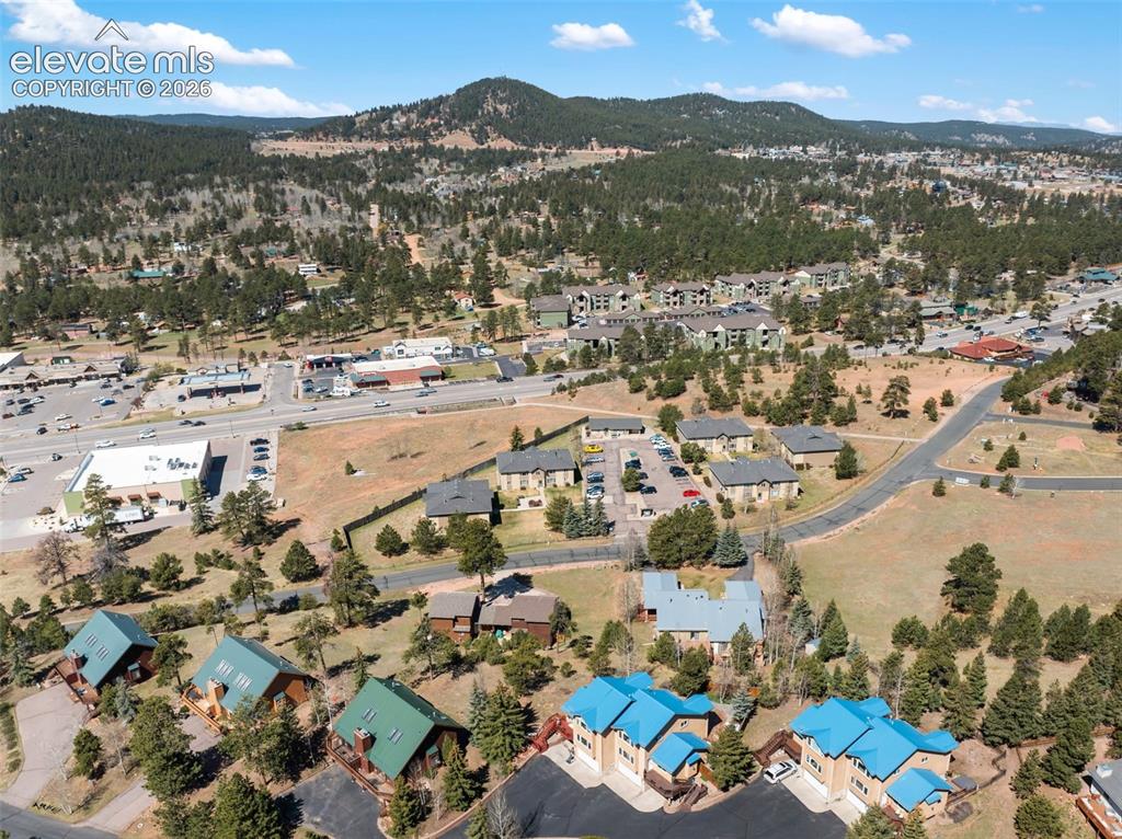 960 Ponderosa Way Woodland Park CO 80863