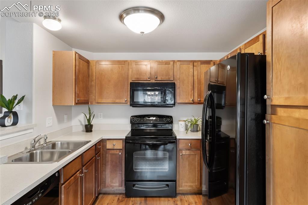 6964 Ash Creek Heights Colorado Springs CO 80922