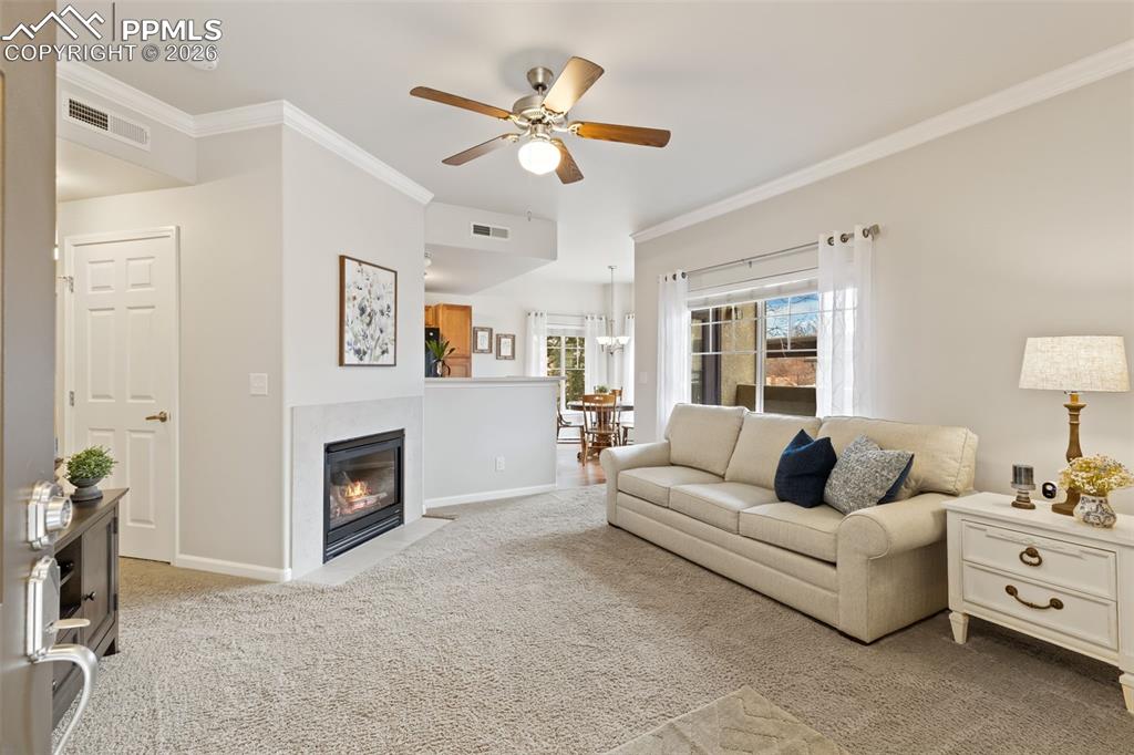 6964 Ash Creek Heights Colorado Springs CO 80922
