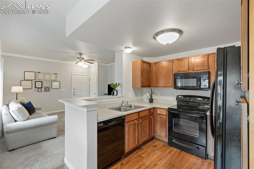 6964 Ash Creek Heights Colorado Springs CO 80922