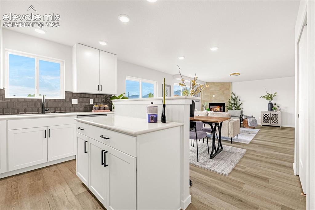 731 Little Bear Grove Colorado Springs CO 80907