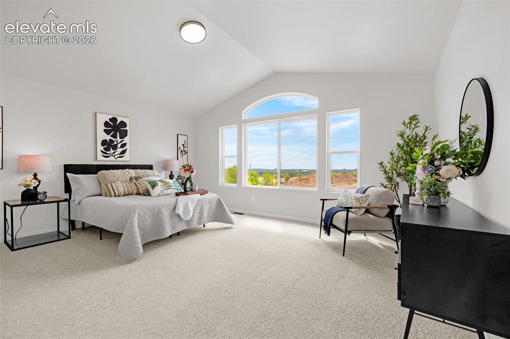 731 Little Bear Grove Colorado Springs CO 80907