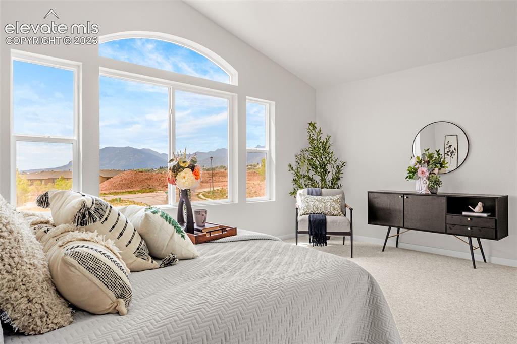 731 Little Bear Grove Colorado Springs CO 80907