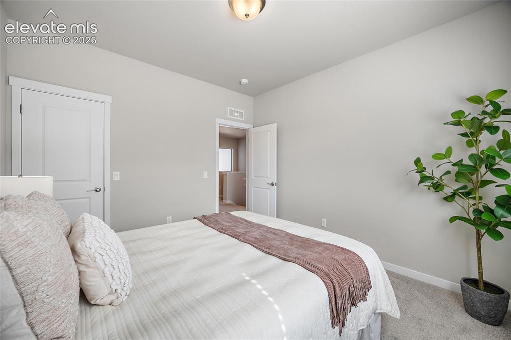 5425 Carvel Grove Colorado Springs CO 80922
