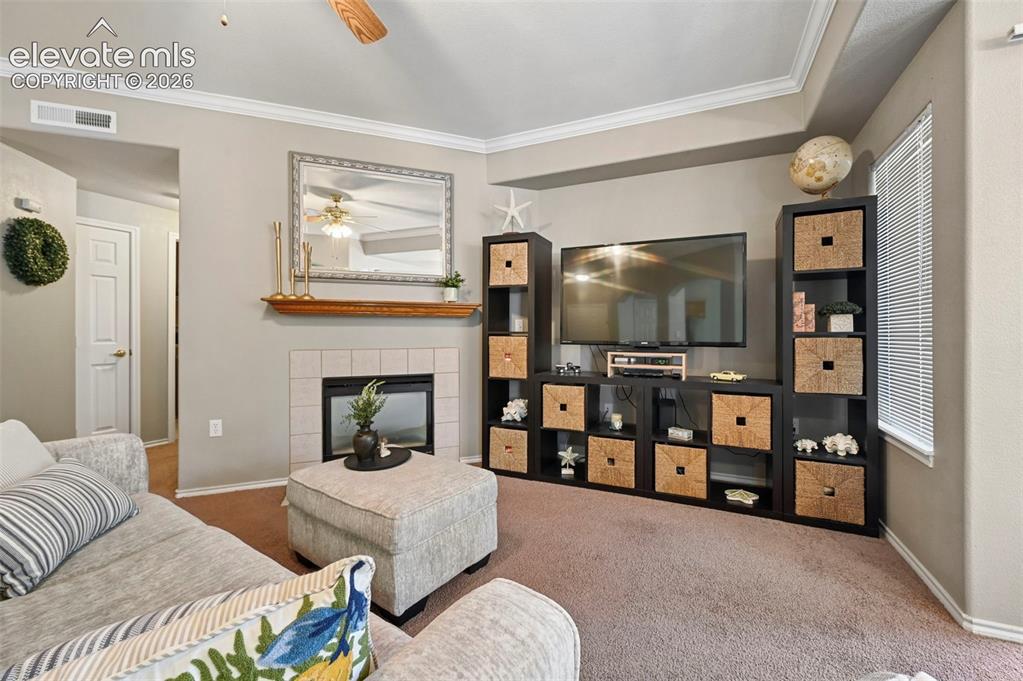 3715 Riviera Grove Colorado Springs CO 80922