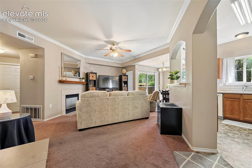 3715 Riviera Grove Colorado Springs CO 80922