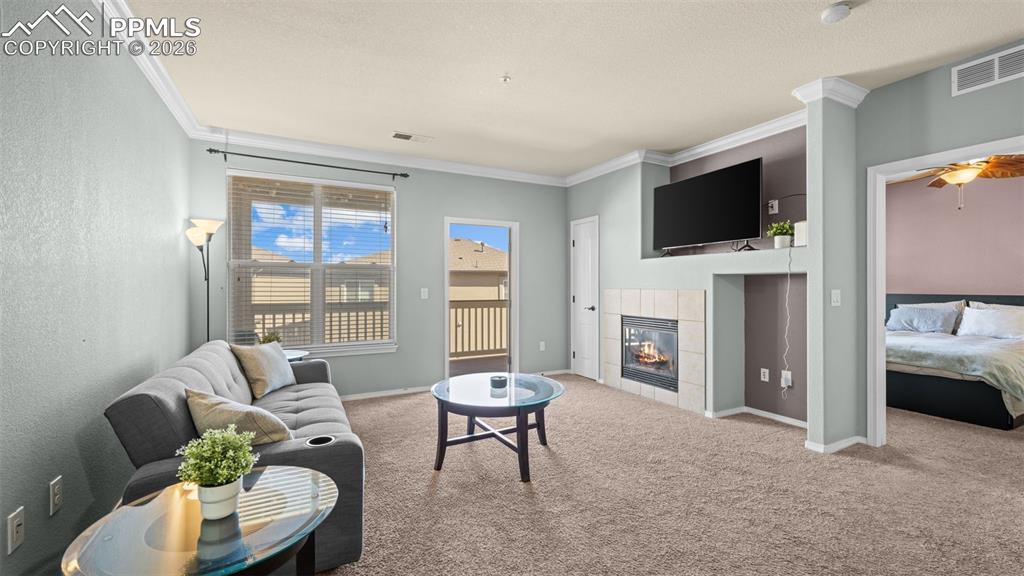 5353 Palomino Ranch Point Colorado Springs CO 80922