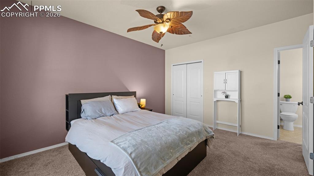 5353 Palomino Ranch Point Colorado Springs CO 80922