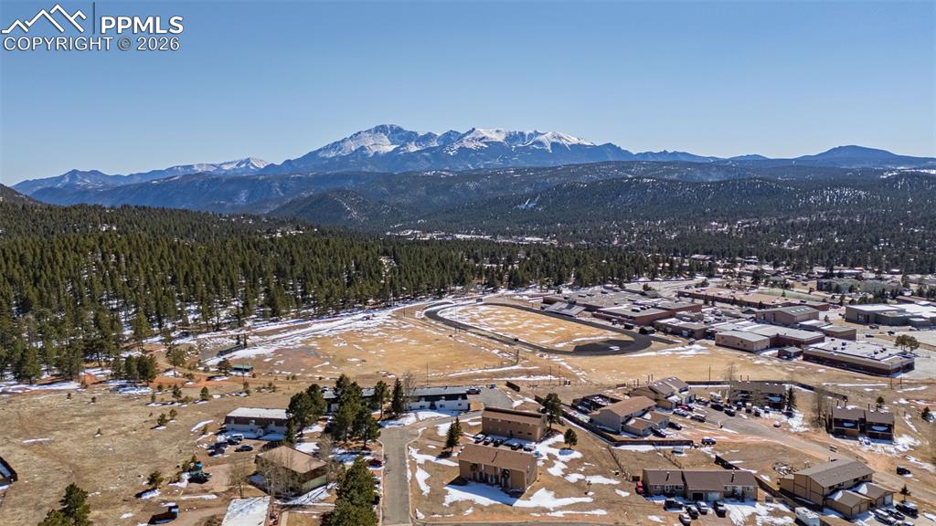 560 E Grace Avenue Woodland Park CO 80863