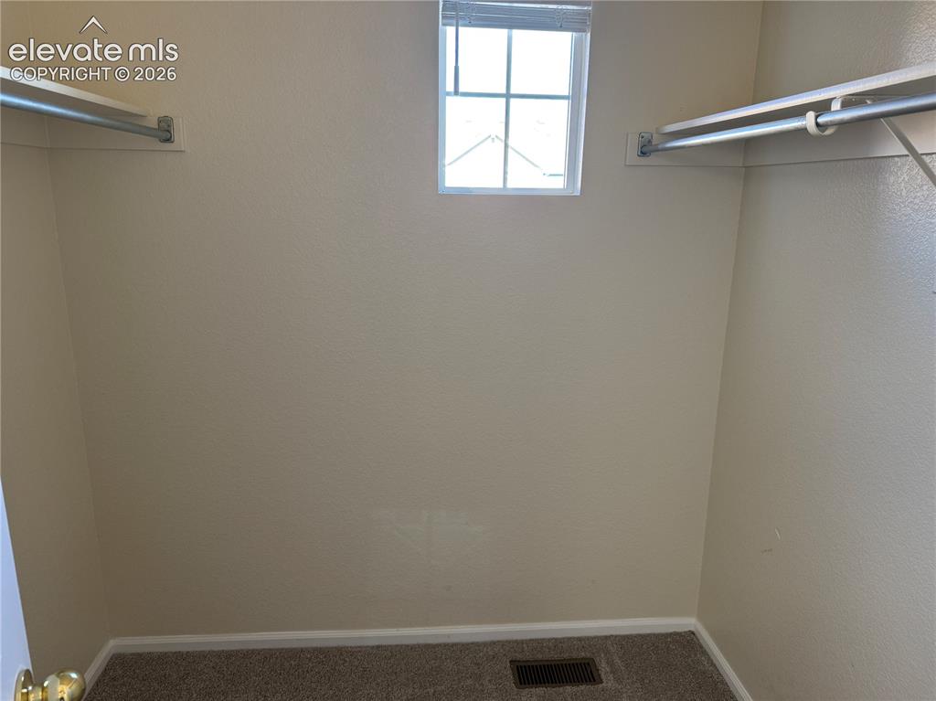 8728 Eckberg Heights Colorado Springs CO 80924