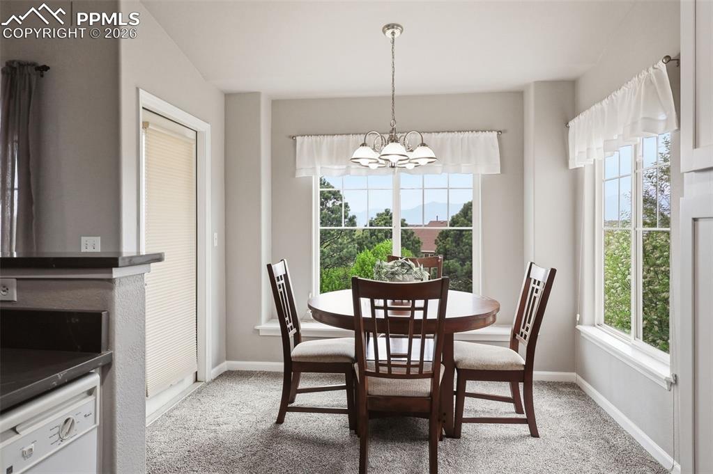 6924 Ash Creek Heights Colorado Springs CO 80922