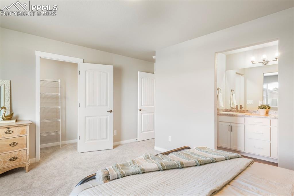 5169 Palomino Ranch Point Colorado Springs CO 80922