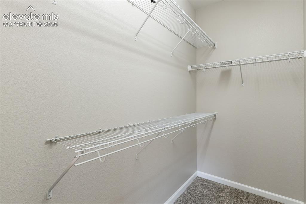 605 Cougar Bluff Point Colorado Springs CO 80906