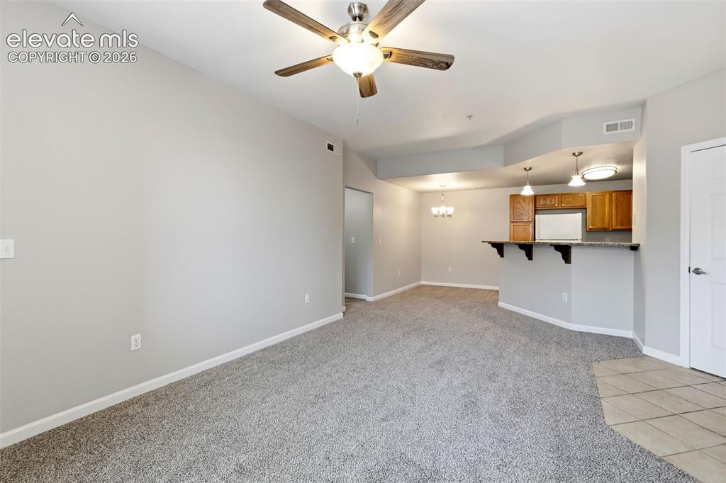 605 Cougar Bluff Point Colorado Springs CO 80906