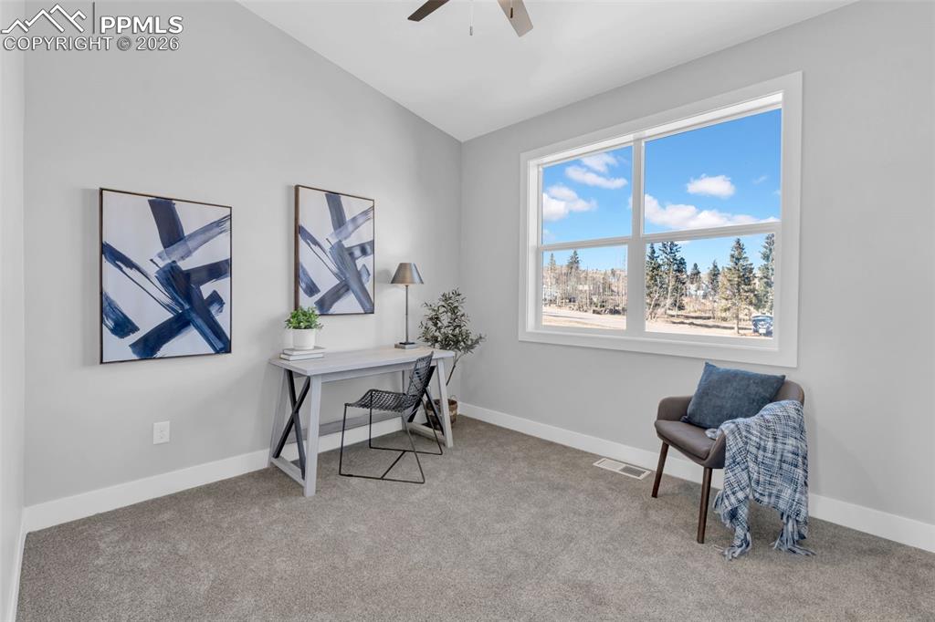 101 W Warren Avenue Cripple Creek CO 80813