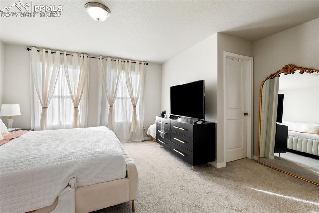 7532 Frigid Air Point Colorado Springs CO 80908