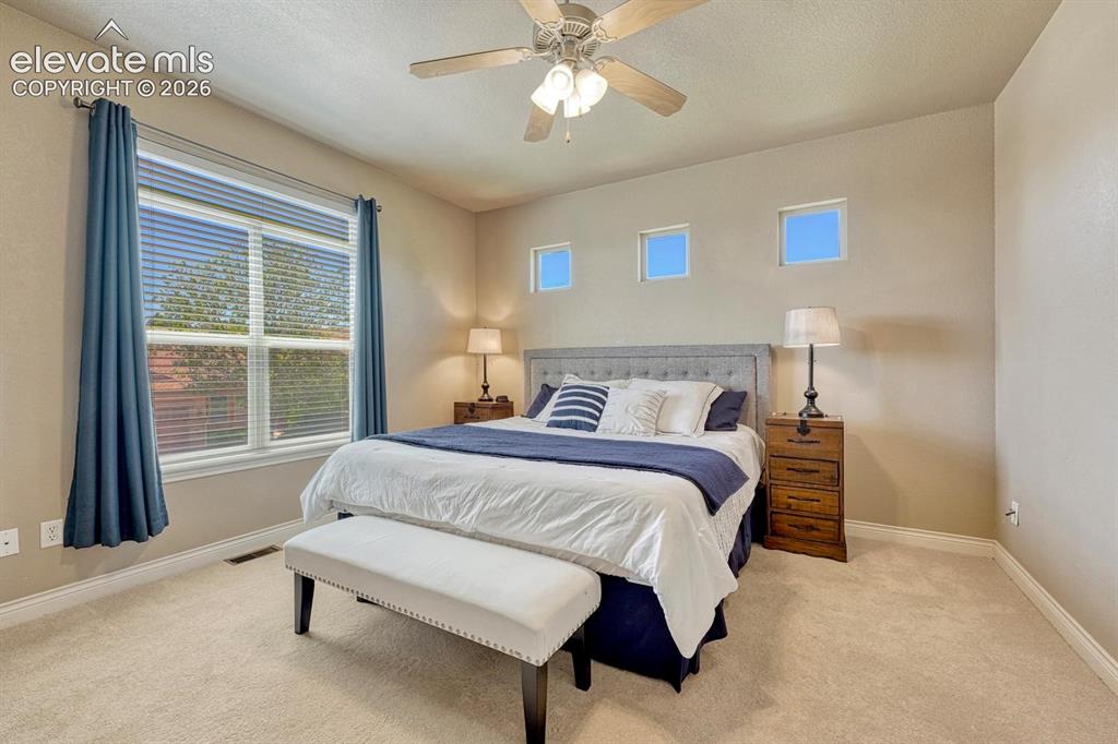 8492 Artesian Springs Point Colorado Springs CO 80920