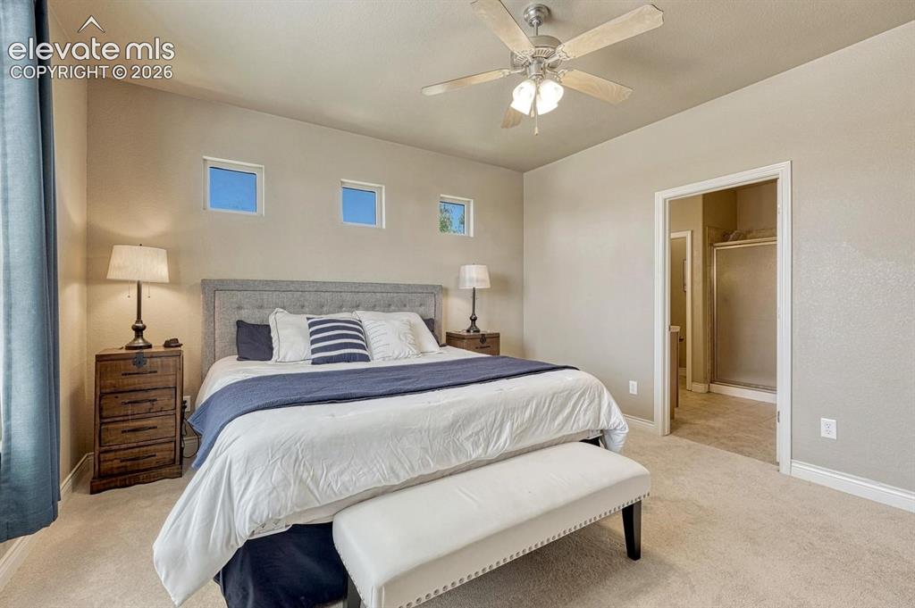 8492 Artesian Springs Point Colorado Springs CO 80920