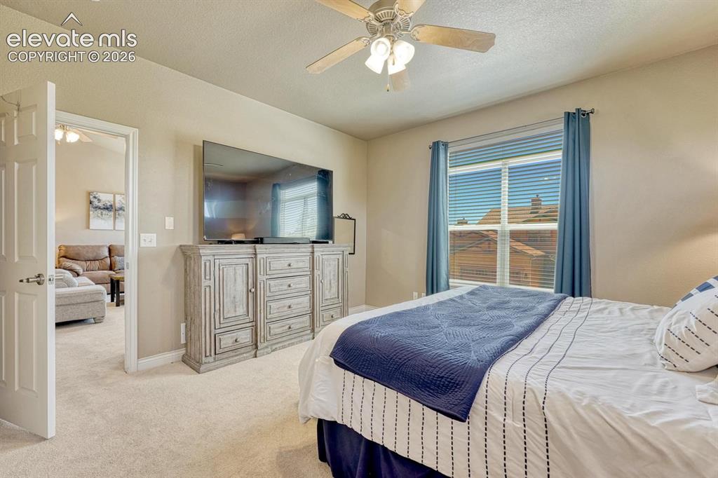 8492 Artesian Springs Point Colorado Springs CO 80920