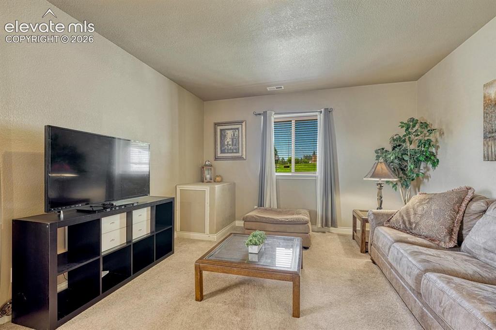 8492 Artesian Springs Point Colorado Springs CO 80920