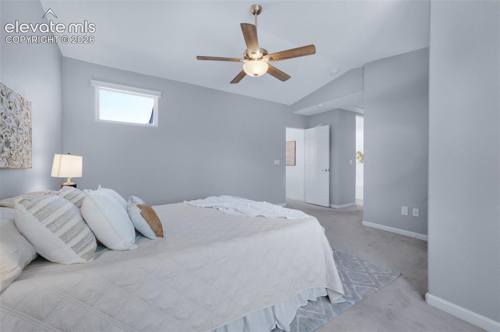 2619 Thrush Grove Colorado Springs CO 80920