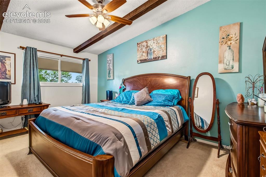 5024 Quarto Lane Colorado Springs CO 80917