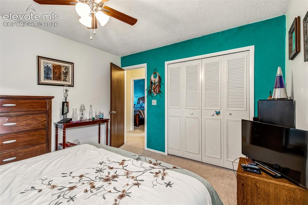 5024 Quarto Lane Colorado Springs CO 80917