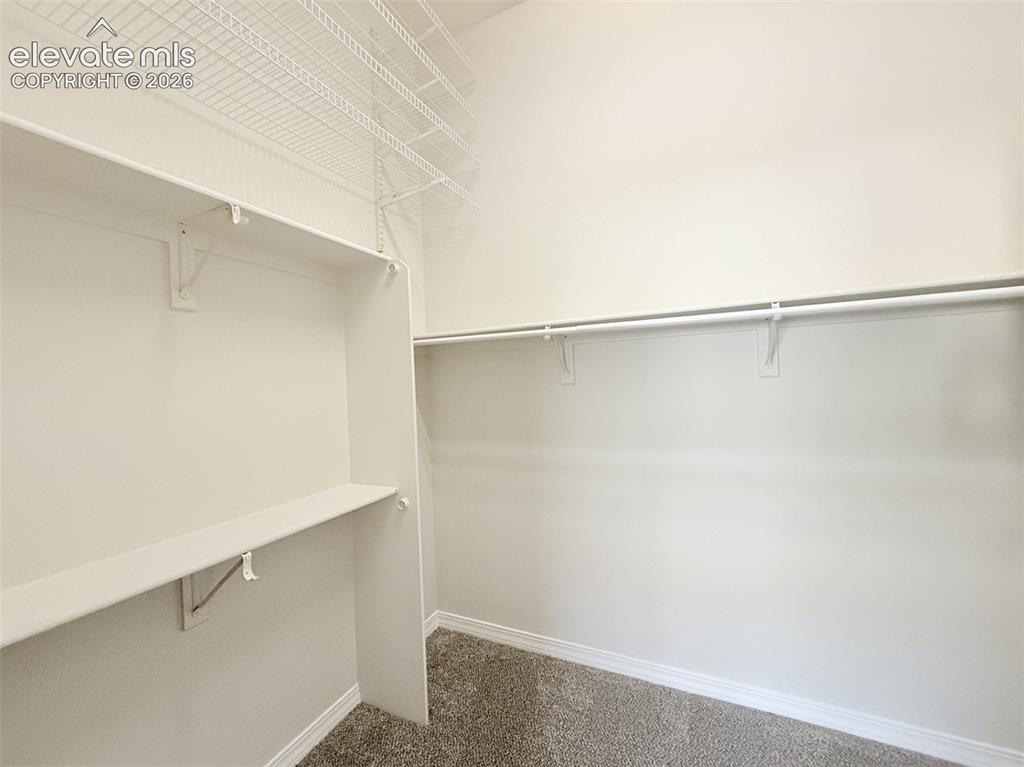 4376 Prestige Point Colorado Springs CO 80906