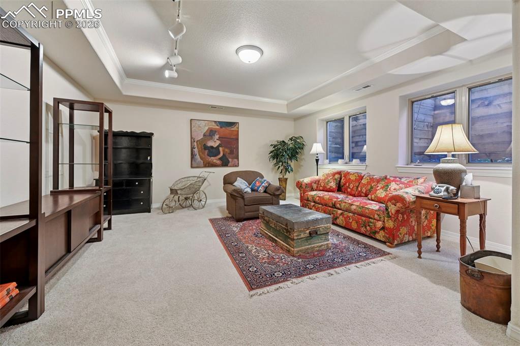5864 Via Verona View Colorado Springs CO 80919