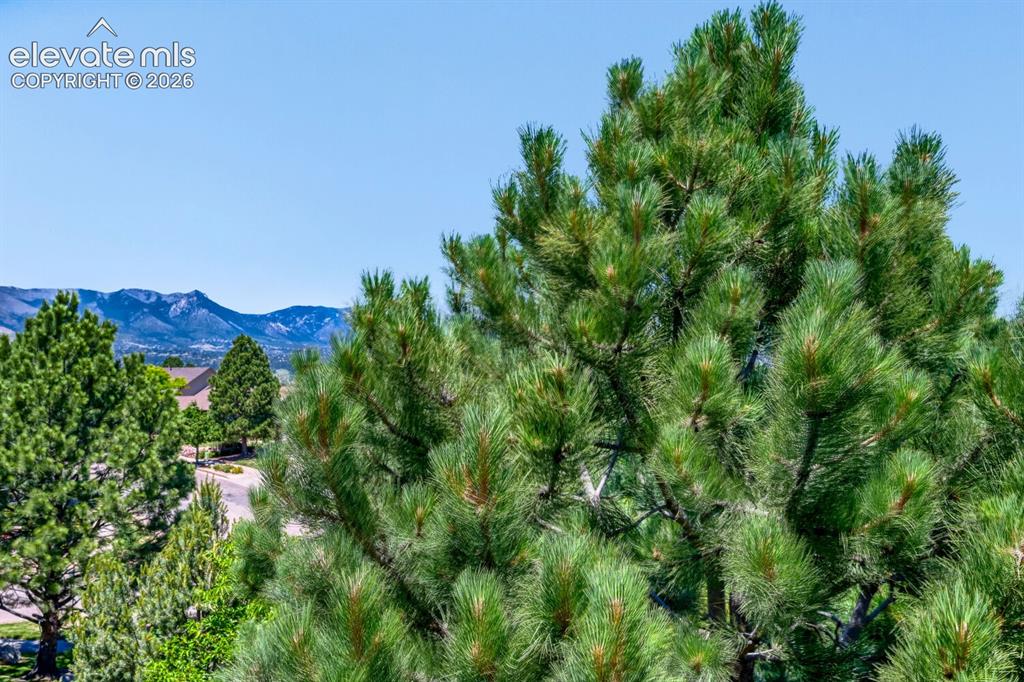 5763 Sonnet Heights Colorado Springs CO 80918