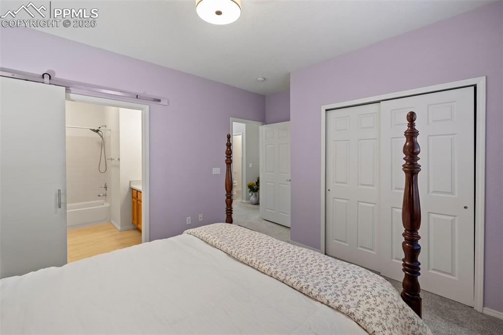 1256 Paula Circle Monument CO 80132