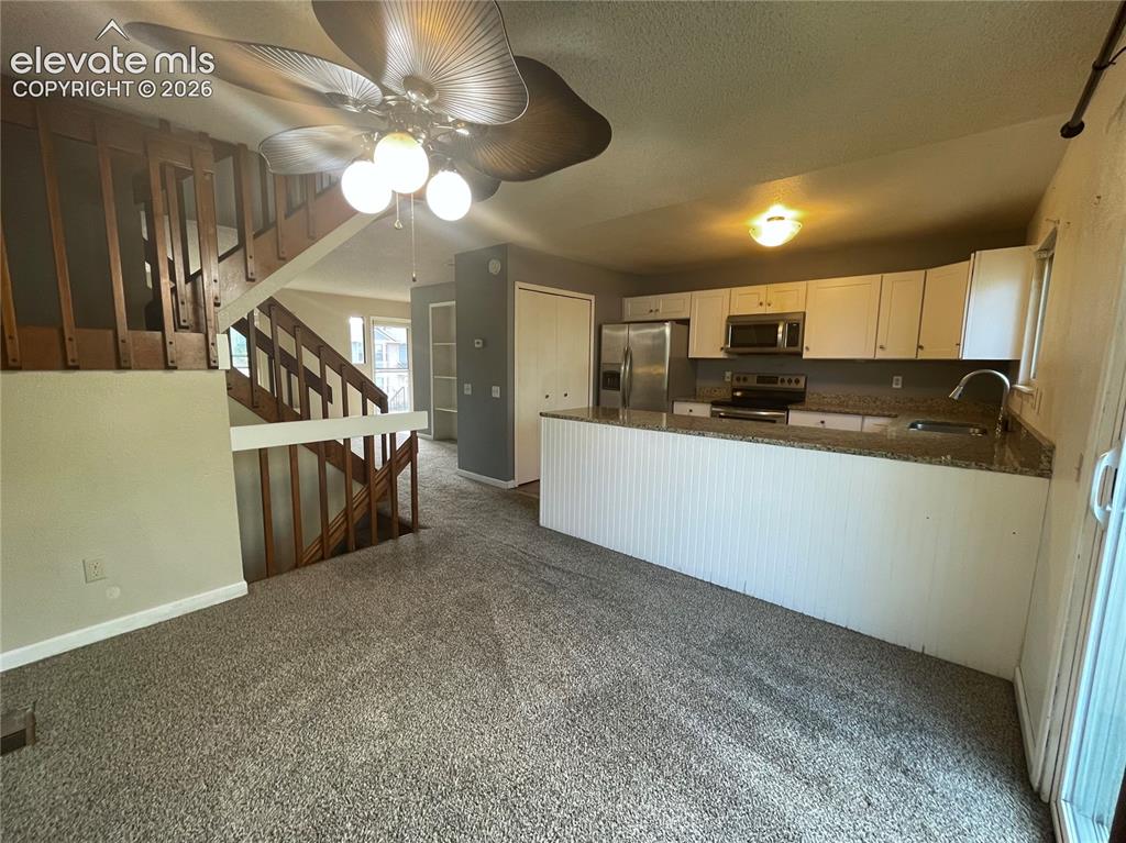 3919 Smoke Tree Drive Colorado Springs CO 80920