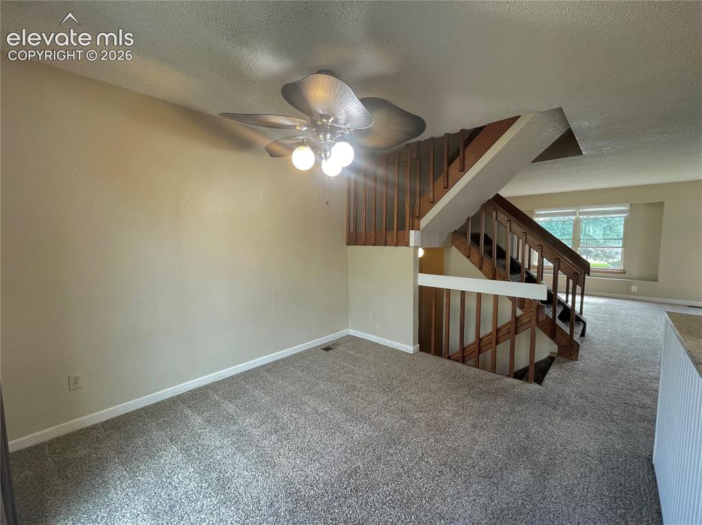 3919 Smoke Tree Drive Colorado Springs CO 80920