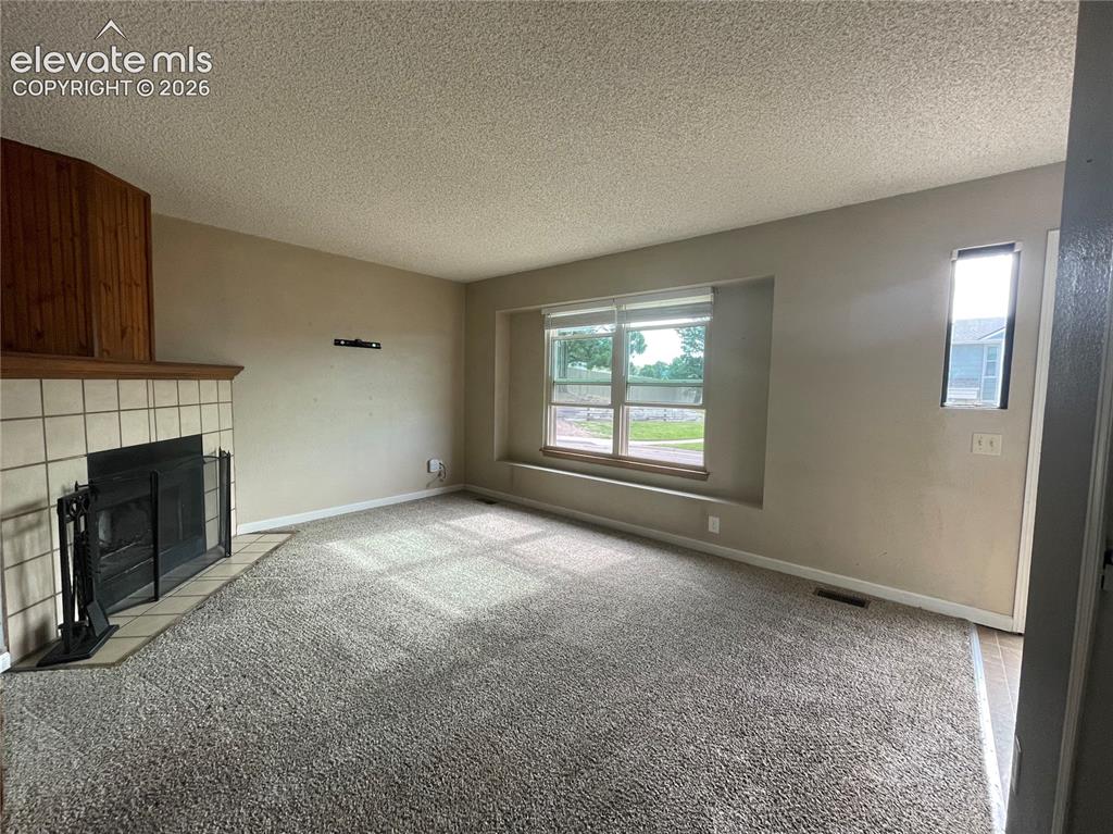 3919 Smoke Tree Drive Colorado Springs CO 80920