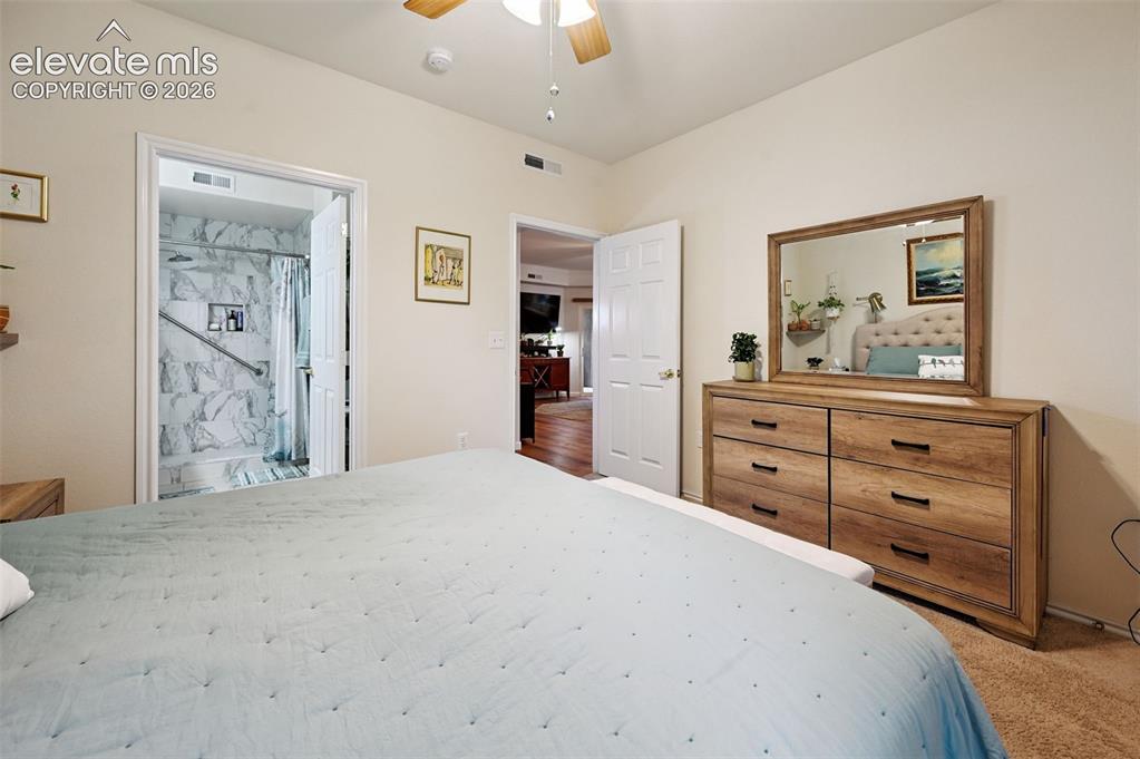 4007 Riviera Grove Colorado Springs CO 80922
