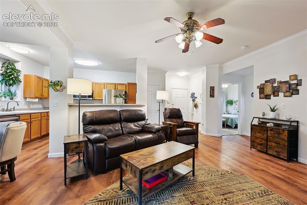 4007 Riviera Grove Colorado Springs CO 80922