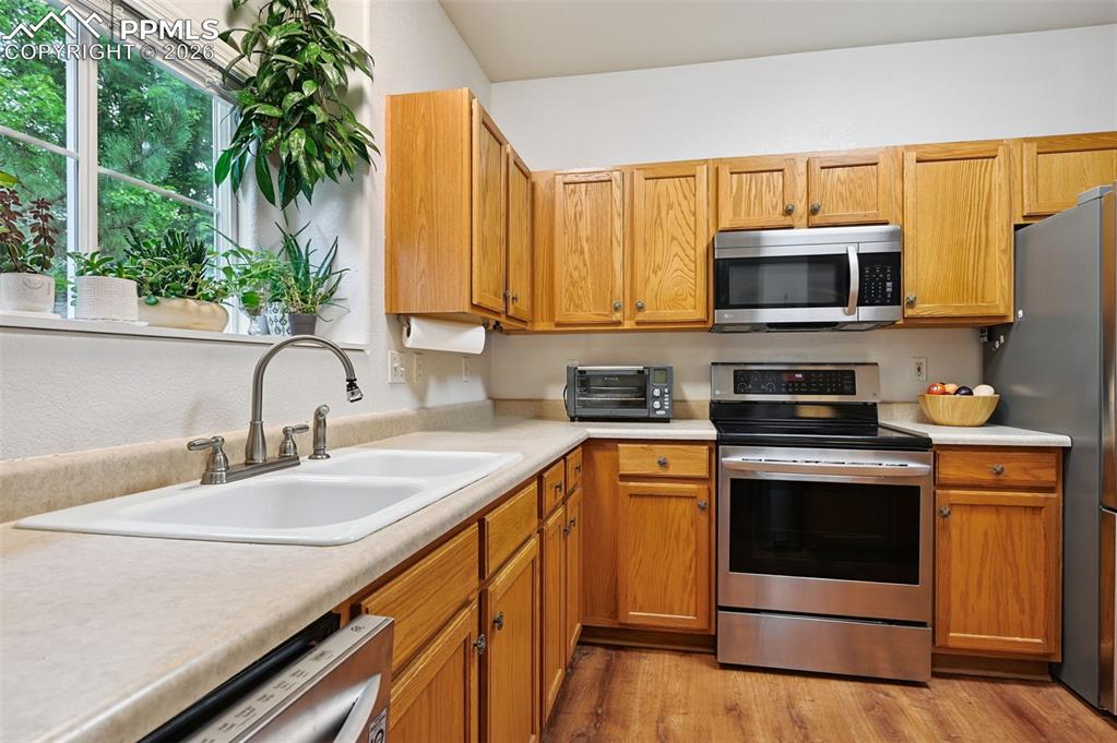 4007 Riviera Grove Colorado Springs CO 80922