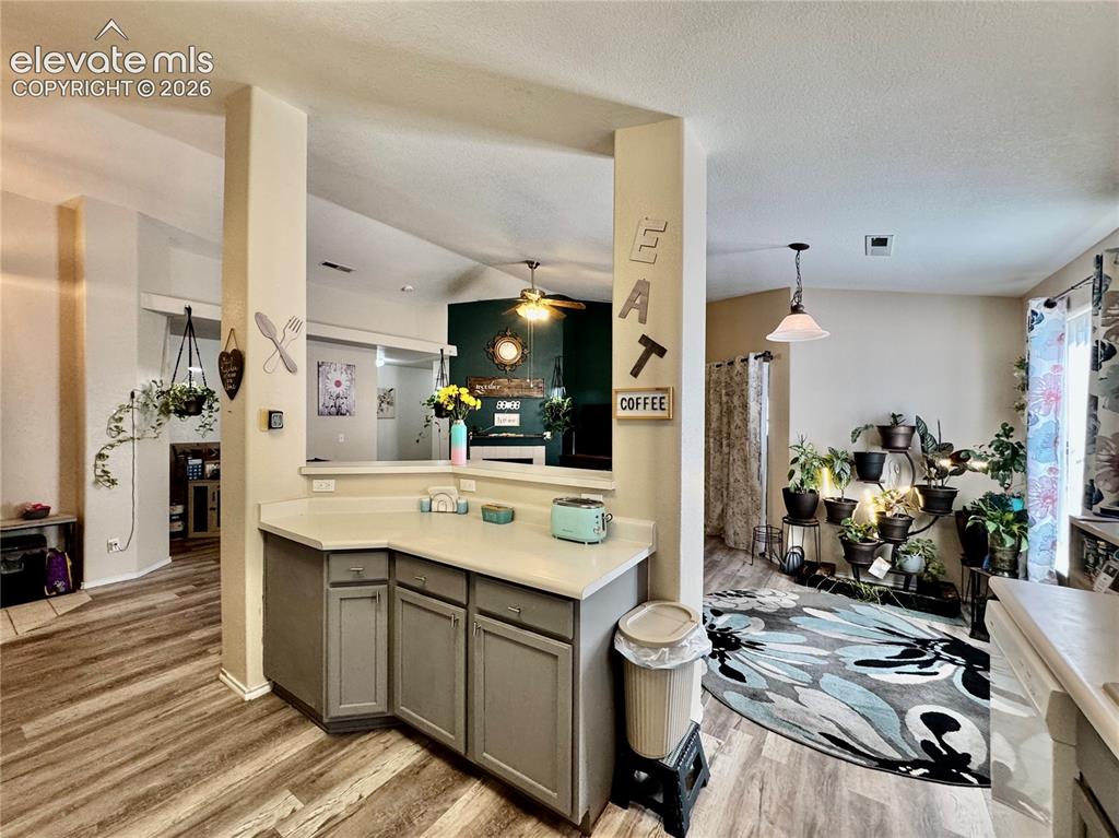 3748 Riviera Grove Colorado Springs CO 80922